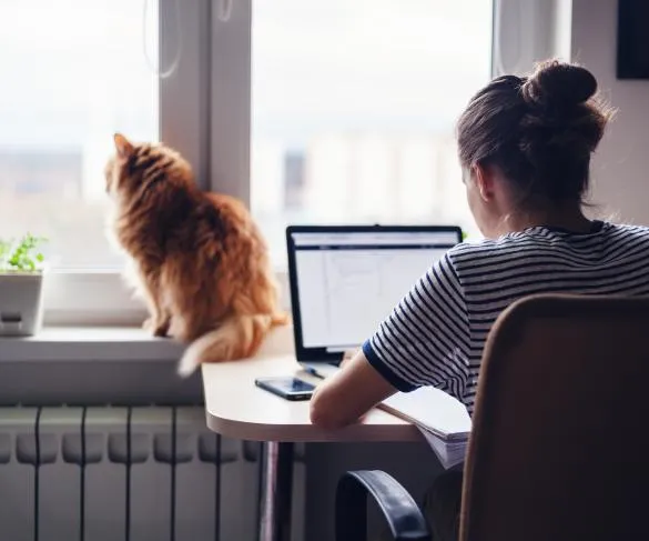 Person working on a laptop at a desk next to a window with a cat sitting on the windowsill.