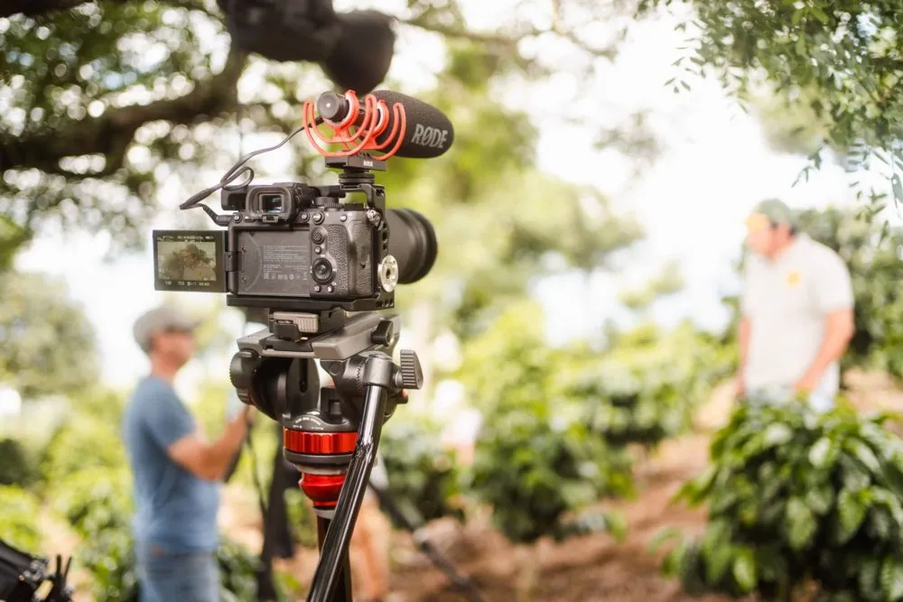 A video camera on a tripod with a Rode microphone is set up outdoors to film a person in a garden or field environment.