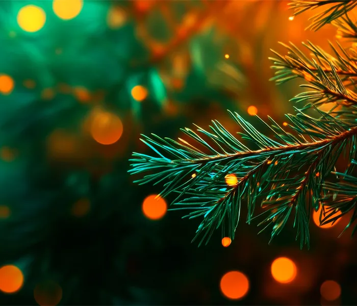 Close-up of green pine needles with warm orange and yellow bokeh lights in the background, creating a festive atmosphere.